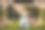 新娘和新郎在晚上的婚礼蛋糕图片下载