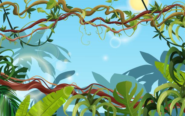 藤本植物或藤本植物缠绕的分枝具热带叶背景。卡通矢量插图。丛林热带攀缘植物。图片下载