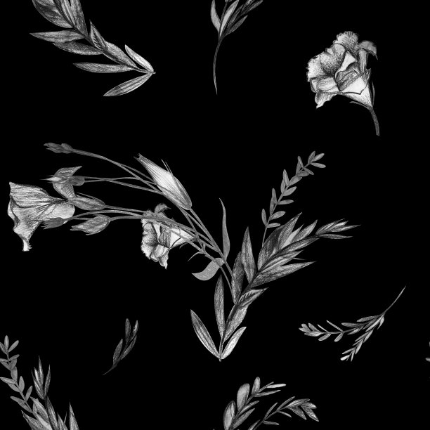 无缝的黑白植物图案，绘有珠光花图片下载