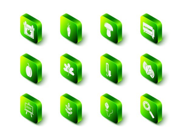 设置胡萝卜，蘑菇，语音气泡与文本秋天，叶或叶，放大镜叶，气象温度计，风筝和图标。向量图片下载