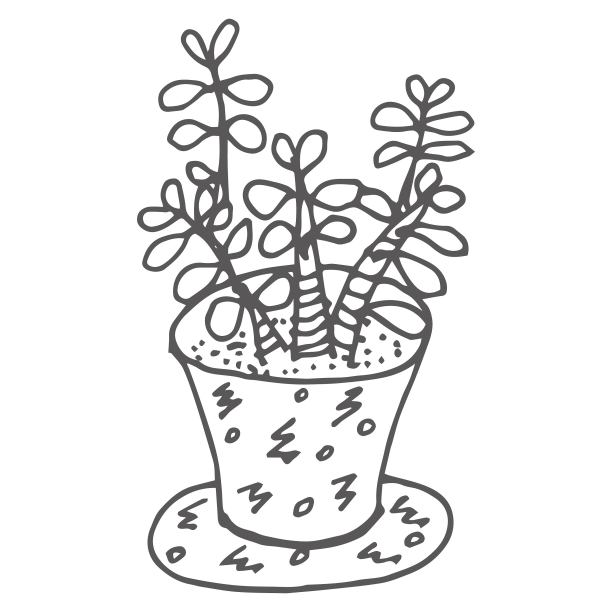 可爱的手绘仙人掌图片下载