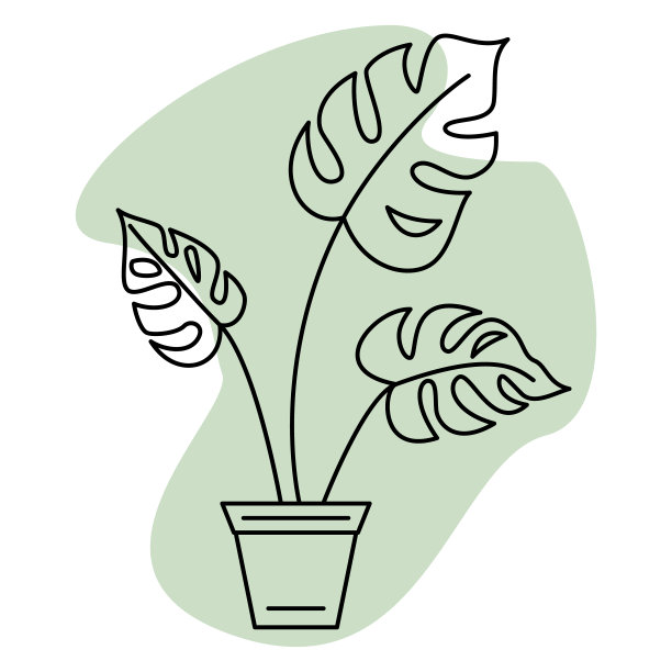 一个盆栽。Monstera，有裂缝的大叶子。家庭和办公室室内盆栽植物。矢量图标，绿色抽象背景，轮廓，孤立图片下载