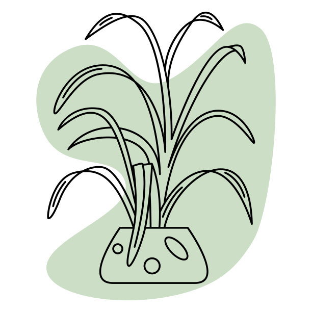 一个盆栽。长着细长弯曲叶子的灌木。家庭和办公室室内盆栽植物。矢量图标，绿色抽象背景，轮廓，孤立图片下载