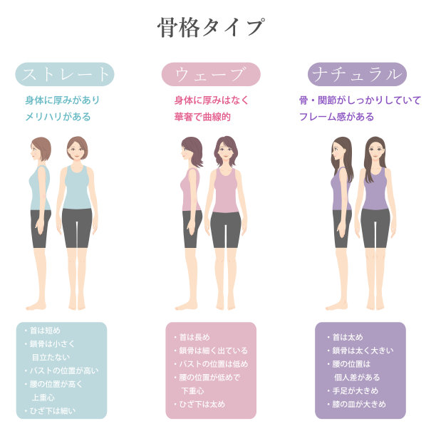骨骼诊断图示:3种类型，正面和侧面图图片下载