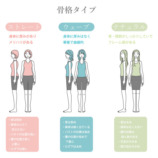 三种类型的骨骼诊断线绘制插图:正面和侧面图片下载