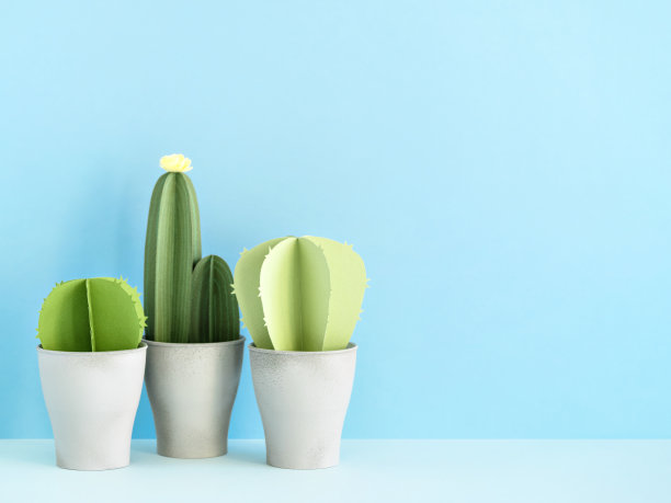 灰色花盆里的三棵不同的仙人掌。图片下载