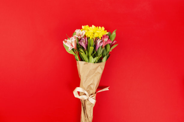 红色背景上的花束图片下载