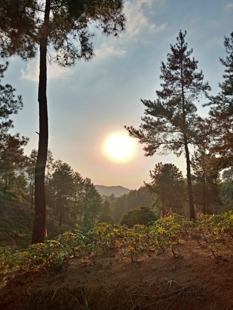 山上日落的景色图片下载