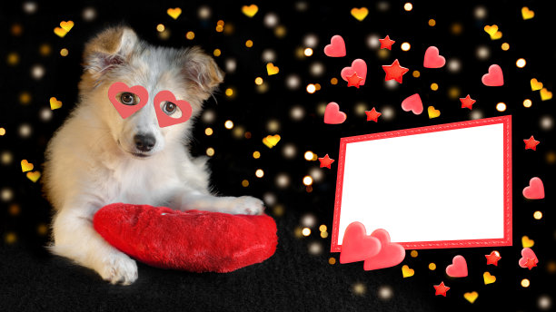 在黑色的背景上，一只可爱的小狗躺在红色的枕头上，旁边是散景和文字框。选择性聚焦，情人节的概念图片下载