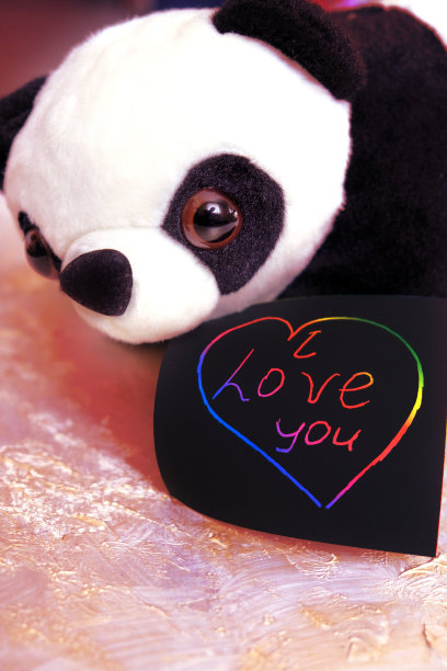 情人节我爱你，用可爱的熊猫玩具。艺术草稿纸的信息图片下载