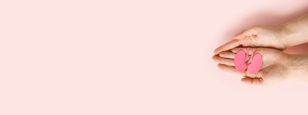 世界肾脏日。女人拿着粉红色背景的肾形纸。全国器官捐赠日。肾脏的健康概念。顶视图横幅。图片下载