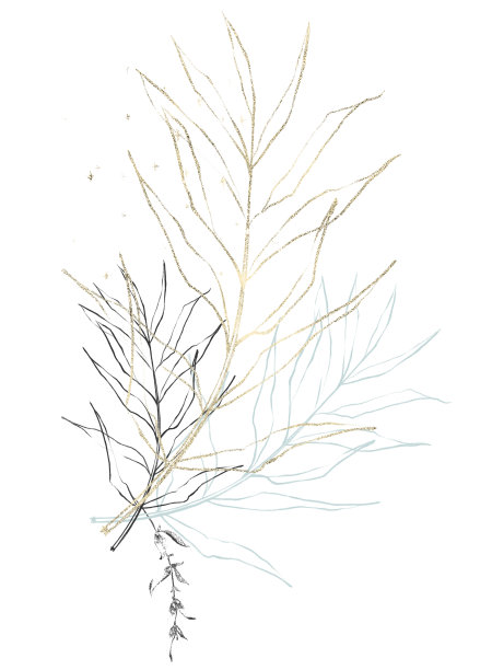 安排蓝色，黑色，金色棕榈枝在素描线条风格。花组成。图片下载