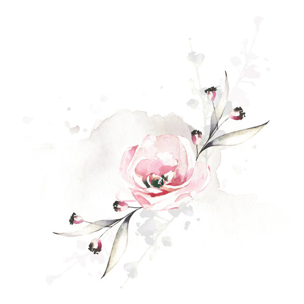 花饰有灰色的叶、枝、粉红色的玫瑰花和抽象水洗。水彩画花束。图片下载