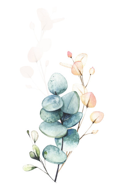 水彩画花束。桉树枝干排列，通风的叶子，粉红色的元素。图片下载