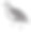 普通鹌鹑(Coturnix Coturnix)图片下载