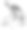 安第斯秃鹰(鹰头狮)-古董雕刻插图图片下载