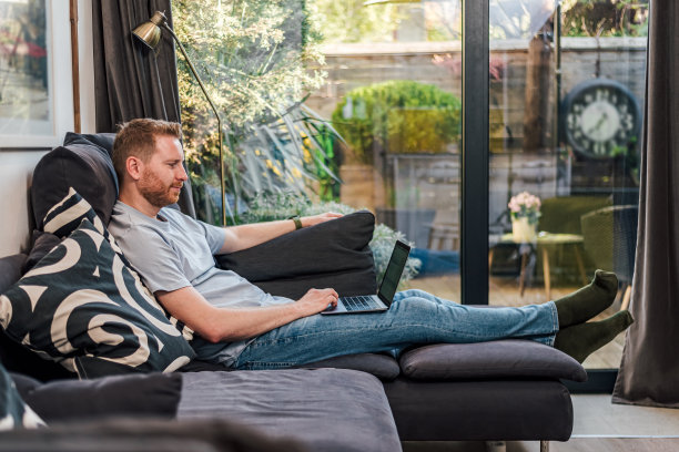 年轻的成年人满意的人舒适地坐在家里的大沙发上使用笔记本电脑，消磨空闲时间，上网，探索有趣的事情，收集新知识图片下载
