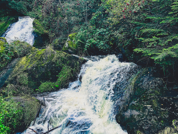 德国黑森林的瀑布。图片下载