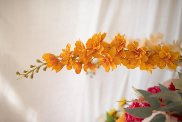 鲜花装饰观赏图片下载