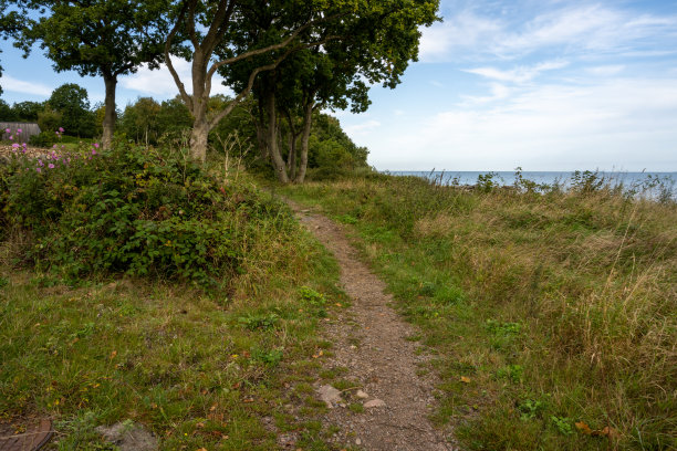 一条穿过茂盛植被的徒步小径。背景是蓝色的水和蓝色的天空。图片来自瑞典斯卡尔德维肯图片下载