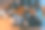 年轻，积极的男男女女，与同事交谈，工作的商人，办公室里的同事，室内。创业、金融、科技、创新理念。图片下载