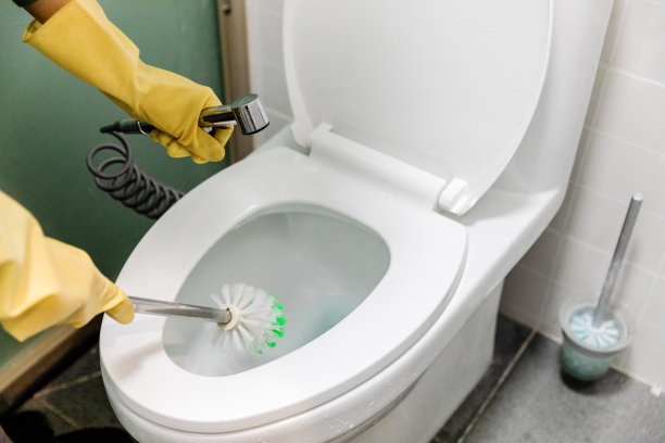 女人洗抽水马桶的腹部图片下载