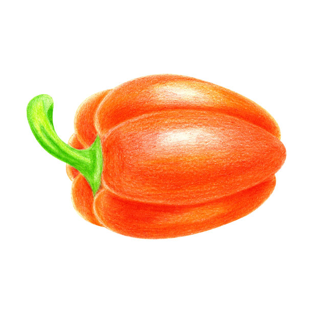 保加利亚的辣椒粉图片下载