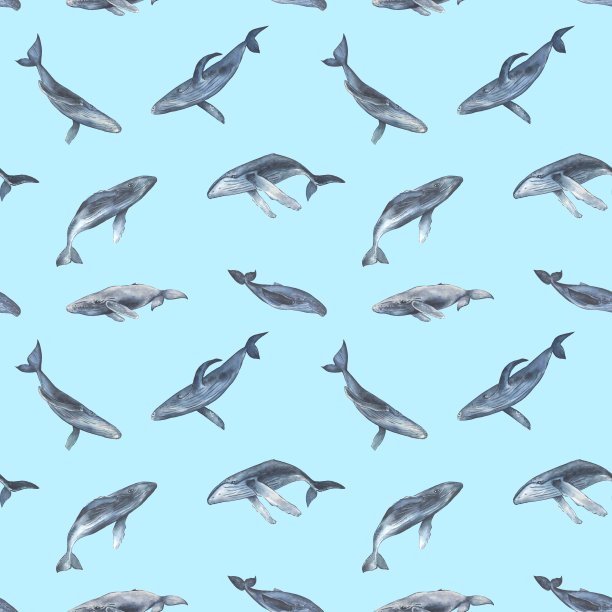 无缝图案与水彩蓝鲸图片下载