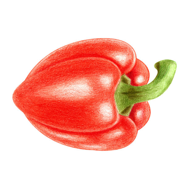 保加利亚的辣椒粉图片下载