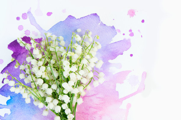 水彩背景下山谷里的莉莉图片下载