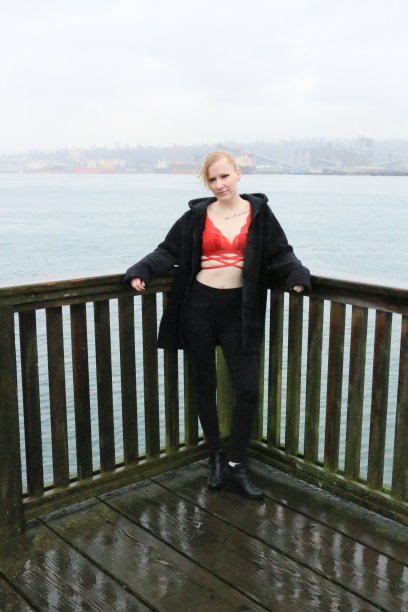 模型和码头图片下载