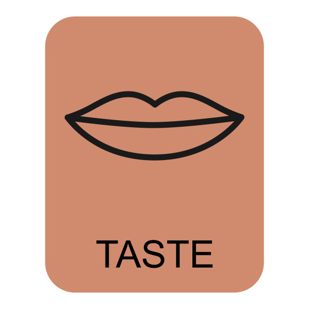 人体解剖平口图标，味觉健康器官矢量插图，面部部分符号图片下载