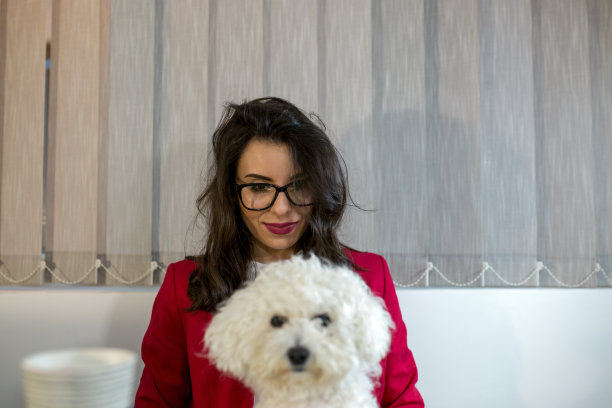 年轻女性在家工作。她和她的狗在一起图片下载