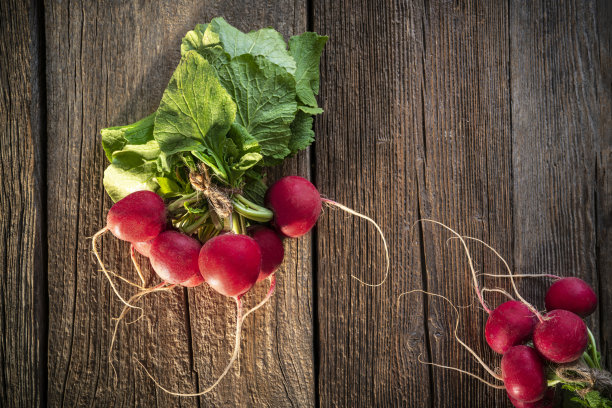 一串萝卜和叶子，十字花科蔬菜，在乡村木板桌子上图片下载