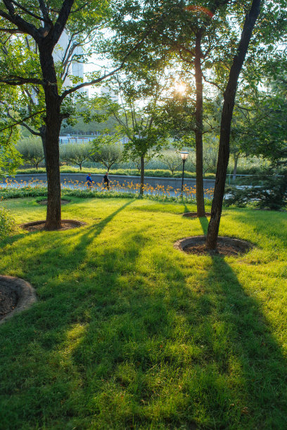 商业写字楼，北京，公园，阳光，金融中心图片下载