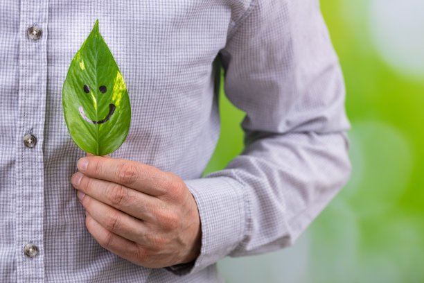 商人手中拿着一片绿叶，脸上挂着灿烂的笑容，自然的背景，绿色的模糊，创意、工作、商业和个人的发展理念与自然和谐相处图片下载