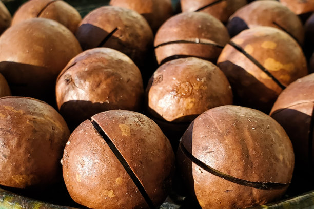 澳洲坚果，微缩照片，质感背景，有机健康食品，硬影趋势图片下载