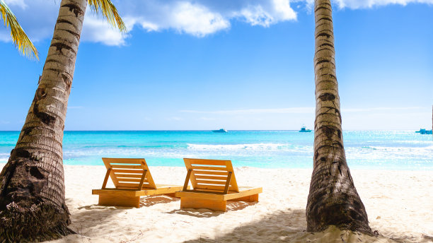 热带白色沙滩，有棕榈树和大海图片下载