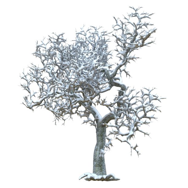 冬天的树在雪孤立在白色背景3d插图图片下载