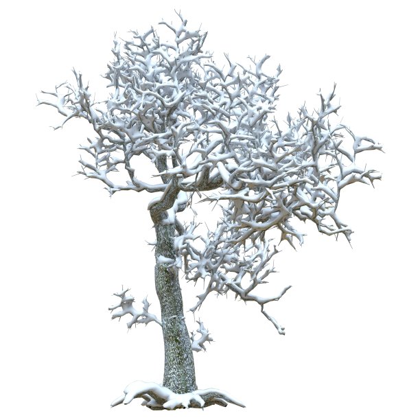 冬天的树在雪孤立在白色背景3d插图图片下载