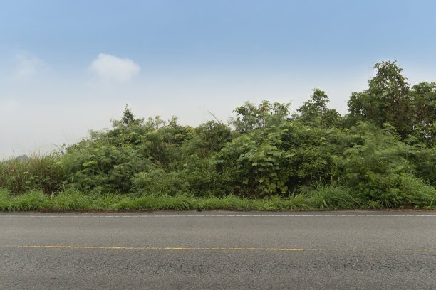 沥青路的侧视图。和自然背景许多树木和绿色的草。图片下载