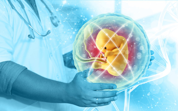 医生的手显示了一个有医学背景的胎儿。保护关爱理念图片下载