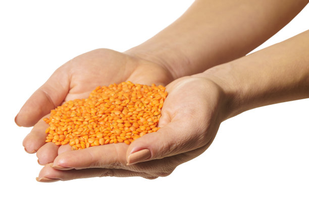 手里拿着生扁豆图片下载