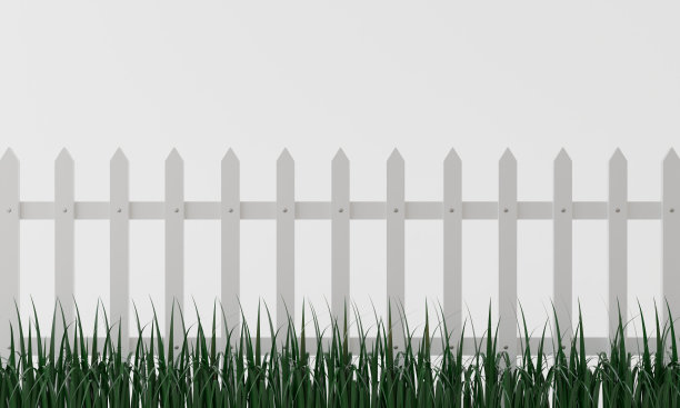 绿色的草和白色的墙在白色的背景上的花园。3 d rendring。图片下载