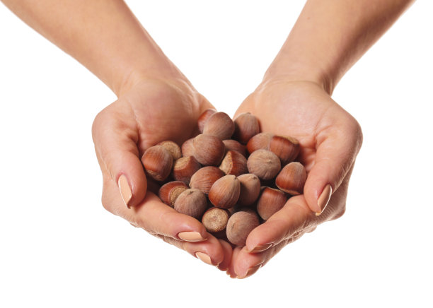 手里拿着去壳的榛子图片下载