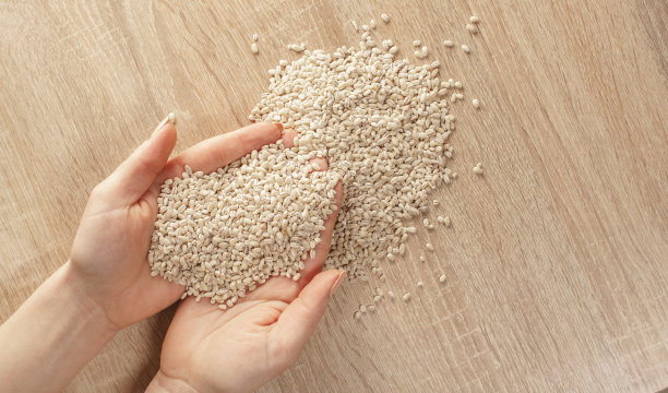 手里拿着生大麦图片下载