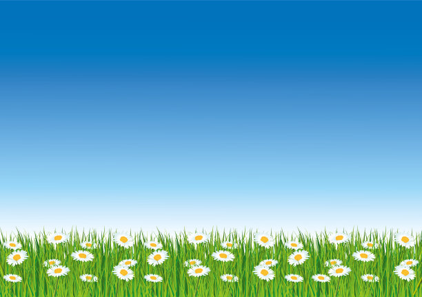 春天矢量壁纸蓝色的天空和新鲜的绿色的草。雏菊。图片下载