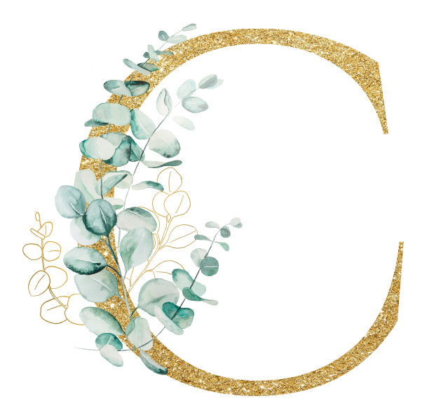 金色字母C饰以绿色水彩桉树的枝叶隔离图片下载