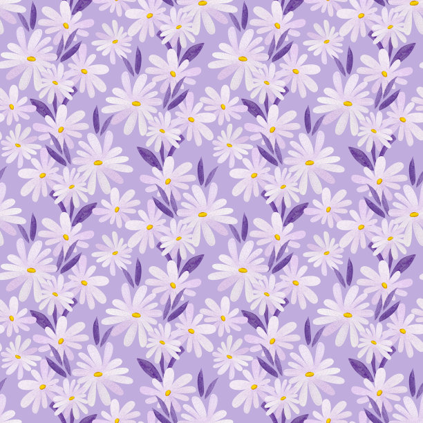 可爱的淡紫色雏菊水彩图案。图片下载