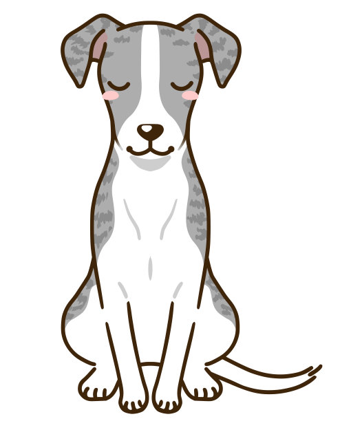 鞭节问候(蓝花蕾)图片下载